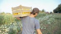 Young farmer going on the field with wooden box of organic bush pumpkin. Royalty Free Stock Photo