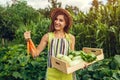 Young farmer holding carrots and wooden box filled with fresh vegetables. Woman gathered summer crop. Gardening