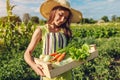 Young farmer holding wooden box filled with fresh vegetables. Woman gathered summer carrots, lettuce crop. Gardening