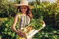 Young farmer holding wooden box with fresh vegetables. Woman gathered summer carrots lettuce squashes crop. Gardening