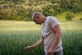 Young farmer inspecting his wheat field Royalty Free Stock Photo