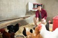 Young farmer kneeling to feed hens