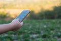 Young farmer observing some charts vegetable filed in mobile phone, Eco organic modern smart farm 4.0 technology concept, Agronomi