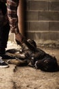 Young farmer playing with his dog in a garage Royalty Free Stock Photo