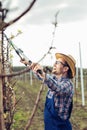Farmer pruning fruit trees in orchard Royalty Free Stock Photo