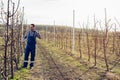 Farmer pruning fruit trees in orchard