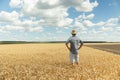 A young farmer in a shirt and a hat stands in the middle of an endless field of golden wheat against a blue sky. Copy Royalty Free Stock Photo