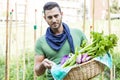 Young farmer showing a basket of vegetables in his garden Royalty Free Stock Photo