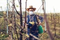 Young farmer spraying the trees with chemicals in the orchard Royalty Free Stock Photo