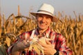 Young farmer standing in corn field, examining the crop before harvest at sunset. Royalty Free Stock Photo