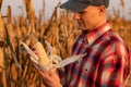 Young farmer standing in corn field, examining the crop before harvest at sunset. Royalty Free Stock Photo