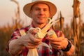 Young farmer standing in corn field, examining the crop before harvest at sunset. Royalty Free Stock Photo