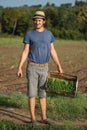 Young farmer standing on the field and holding wood box with parsley plant