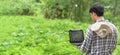 A young farmer is using a computer laptop while standing among the orchard Royalty Free Stock Photo