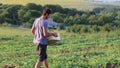 Young farmer walking on the field, looking and harvesting melons in wooden box.