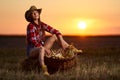 Young farmer woman harvesting corn Royalty Free Stock Photo