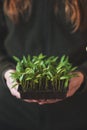 Young farmer woman replanting a seedlings in the garden. Hyacinth and muscat flower. Concept of gardening.