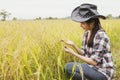 Young farmer woman sitting and looking at rice happily Successful business woman farmer planting rice.