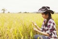 Young farmer woman sitting and looking at rice happily Successful business woman farmer planting rice.