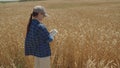 young farmer works tablet field with wheat. farming concept. harvest wheat field. work agriculture. grow production Royalty Free Stock Photo