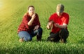 Young farmers examing planted wheat