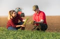 Young farmers examing planted wheat fields Royalty Free Stock Photo