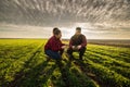 Young farmers examing planted young wheat during winter season Royalty Free Stock Photo