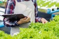 Young farmers are monitoring the hydroponic water system and nutrients in order to control the quality of organic vegetables to