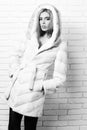 Young fashionable pretty woman or girl with beautiful long blonde hair in waist coat of white fur with hood and Royalty Free Stock Photo