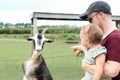 Young father cradling an infant in his arms while standing beside a goat at a petting zoo Royalty Free Stock Photo