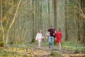 Young father and his three kids hiking in the woods. Family of four having fun on a walking trail on sunny spring day Royalty Free Stock Photo