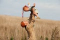 Young Father plays with his little Daughter in field. Holding high in arms, redhead baby fly. Family is laughing Outdoors Royalty Free Stock Photo