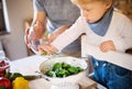 Young father with a toddler boy cooking. Royalty Free Stock Photo