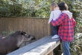 Young father and toddler daughter watching a tapir in a zoo