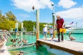 Young father and two little kid boys feeding fishes and big brown pelicans in port of Islamorada, Florida Keys. Man and Royalty Free Stock Photo