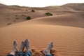 Young feet in the sand of Sahara Desert, Morocco. A couple sitting on the sand.