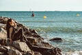 Young female adult standing in the sun next to the sea