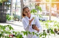 Young female agronomist holding monitoring tomato plant in greenhouse Royalty Free Stock Photo