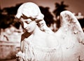 Young female angel in sepia shades Royalty Free Stock Photo