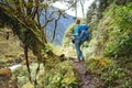 Young female with backpack and poles trekking walking Mera Peak climbing route through jungle rain forest in Makalu Barun National Royalty Free Stock Photo