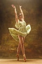 Young ballet dancer - Harmonious pretty woman with tutu posing in studio - Royalty Free Stock Photo