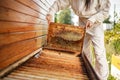Young female beekeeper pulls out from the hive a wooden frame with honeycomb. Collect honey. Beekeeping concept Royalty Free Stock Photo