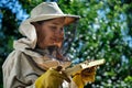 Young female beekeeper pulls out from the hive a wooden frame with honeycomb. Collect honey. Beekeeping concept. Royalty Free Stock Photo