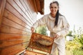 Young female beekeeper pulls out from the hive a wooden frame with honeycomb. Collect honey. Beekeeping concept Royalty Free Stock Photo