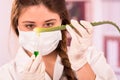 Young female biologist experimenting with leaf