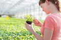 Young female botanist examining herb in plant nursery