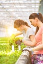 Young female botanist examining herbs in plant nursery