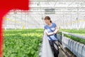 Young female botanist examining herbs while writing on clipboard in plant nursery