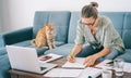 Young female businesswoman student working on project with laptop at home with red cat on sofa, studying for exams, home office Royalty Free Stock Photo