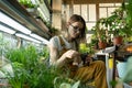 Young female care of potted plants after work, relax in indoor garden. Florist woman entrepreneur Royalty Free Stock Photo